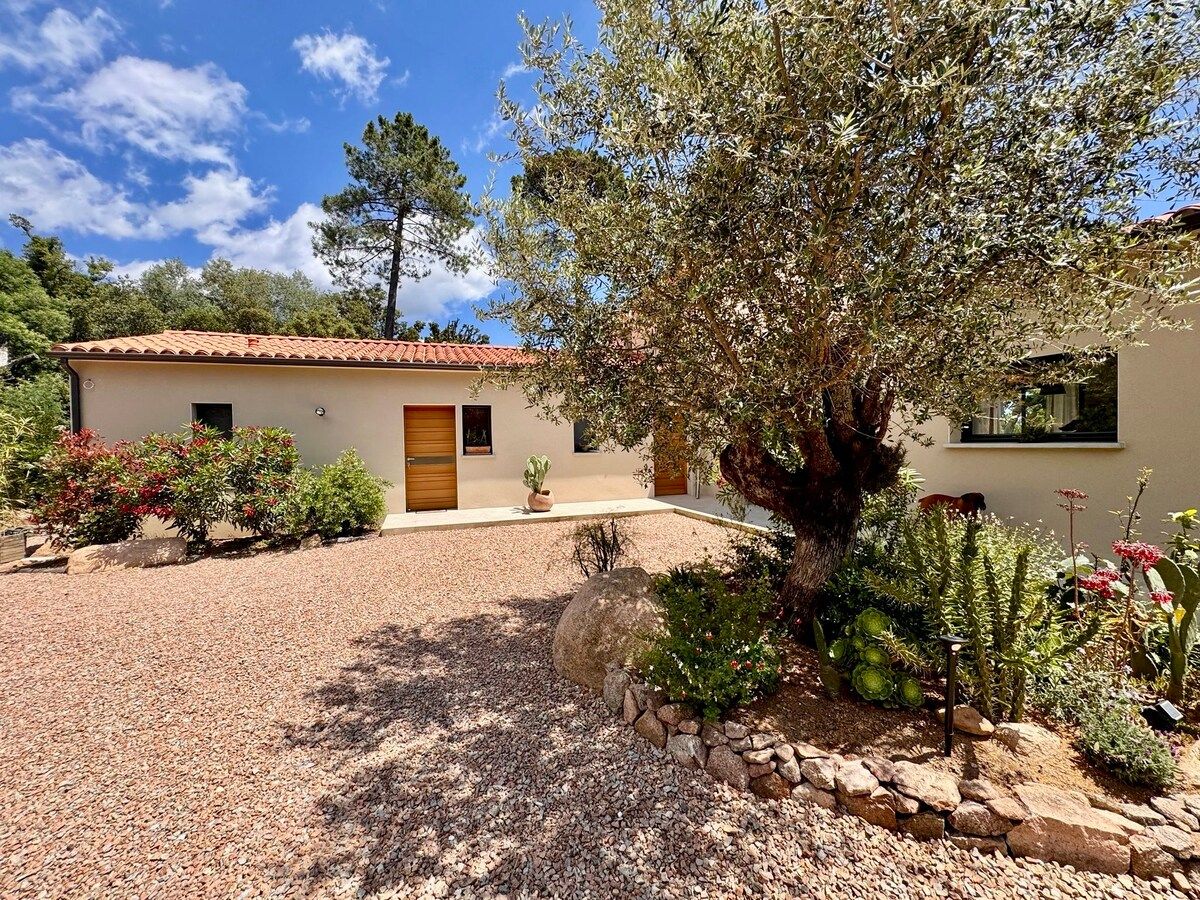 The house and its old olive tree, surrounded by oleanders and the maquis