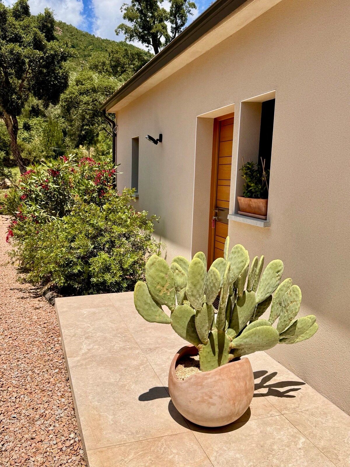 The mini-villa’s entrance with a potted prickly pear